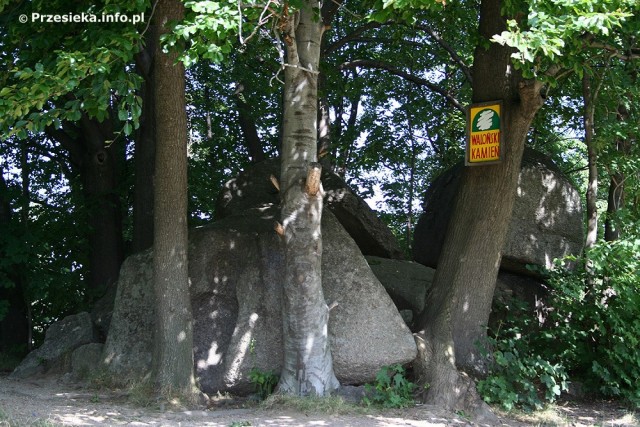 Kamień Waloński i Chybotek