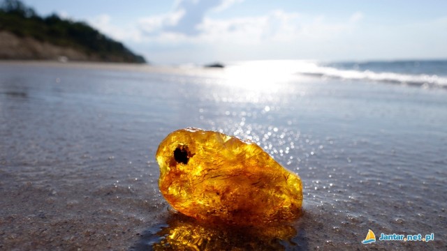 Mistrzostwa w Poławianiu Bursztynu