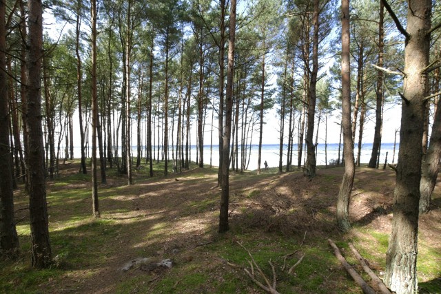 Ścieżka przyrodnicza