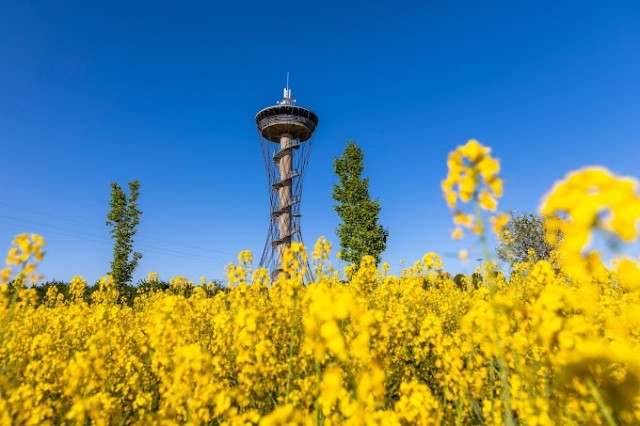 Wieża Kaszubskie Oko