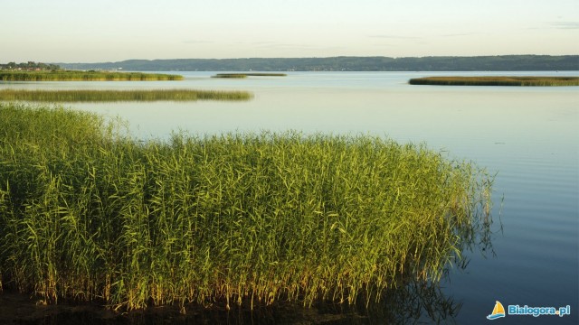 Jezioro Żarnowieckie