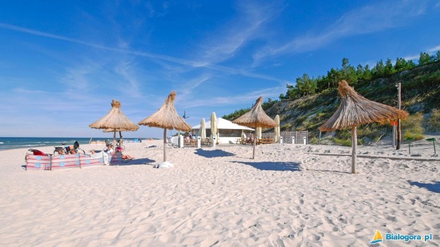 Plaża w Białogórze