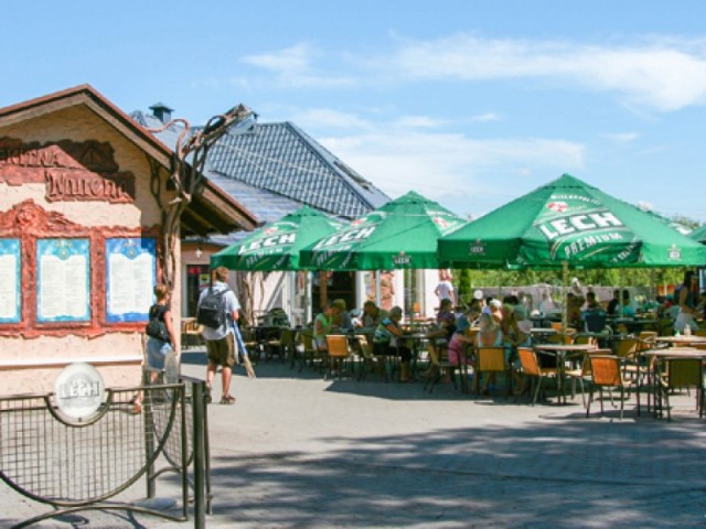 BŁĘKITNA MURENA