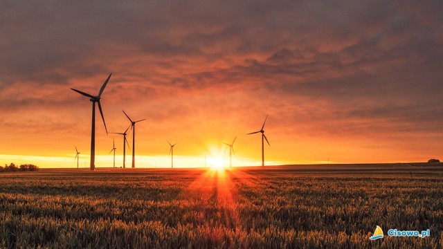 Elektrownia Wiatrowa w Cisowie