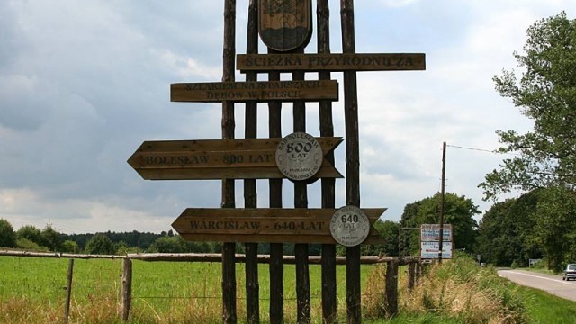 Najstarsze dęby w Polsce