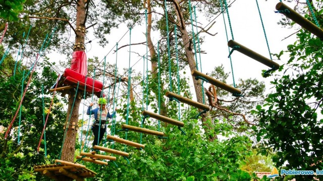 Park Linowy Gibon Rewal