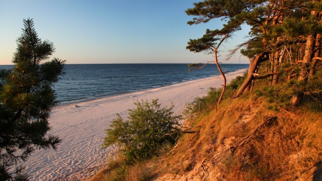 Plaża i klif w Łukęcinie