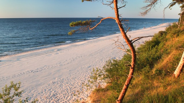 Plaża i klif w Łukęcinie