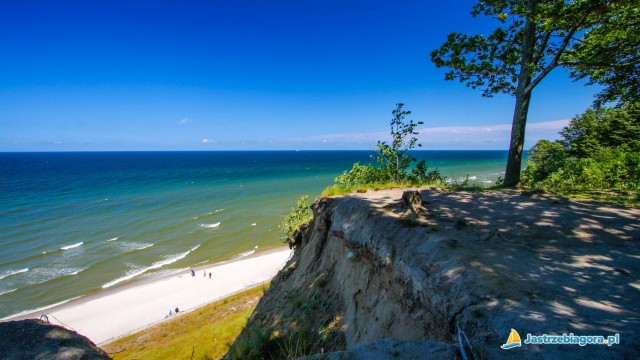 Klif w Jastrzębiej Górze