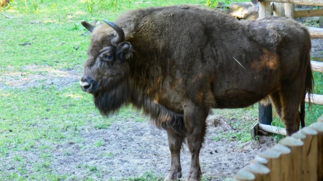 Woliński Park Narodowy