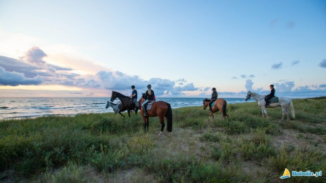 Jazda konna i mini zoo
