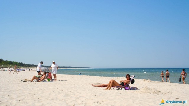Plaża w Grzybowie