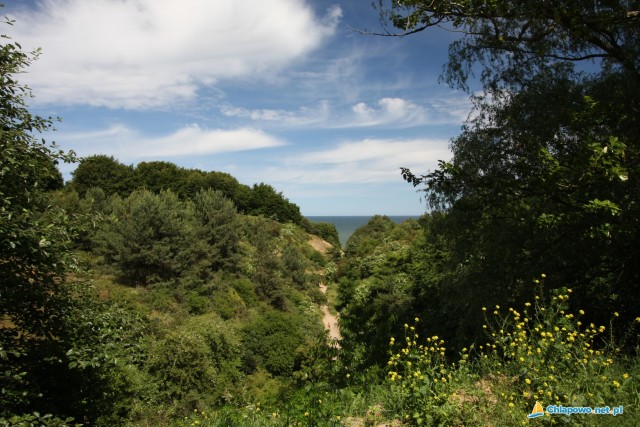 Wąwóz Chłapowski Rudnik