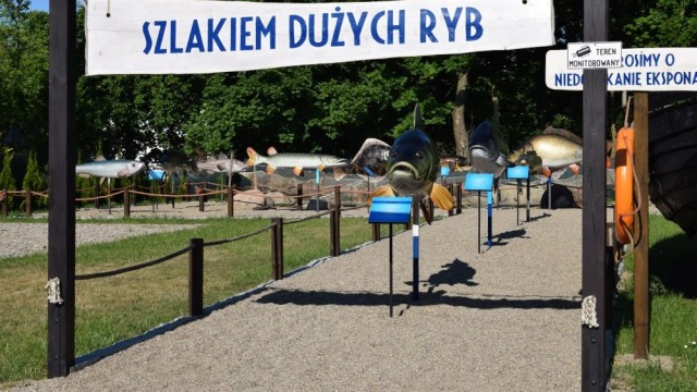 Szlak Dużych Ryb