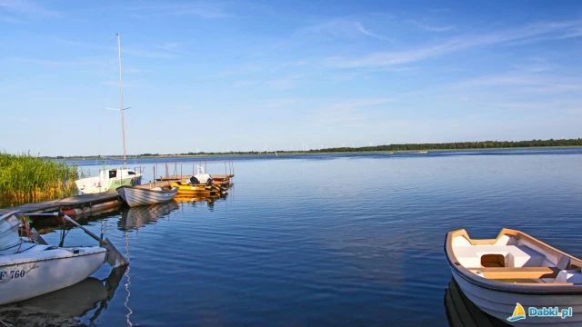 Dąbki