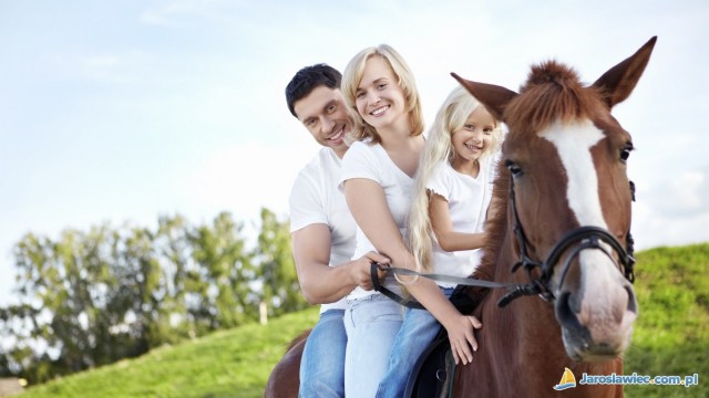 Stajnia Koni HORYZONT