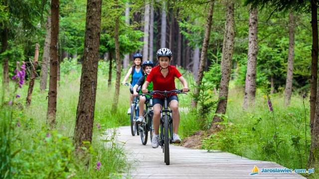 Szlaki rowerowe i turystyczne