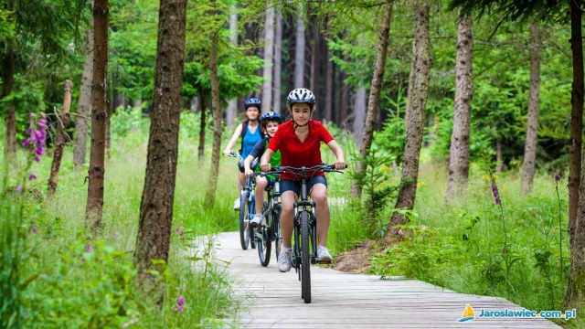 Szlaki rowerowe i turystyczne