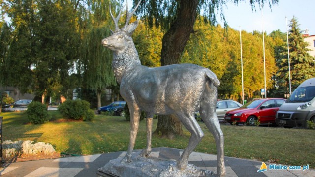Pomnik Jelenia
