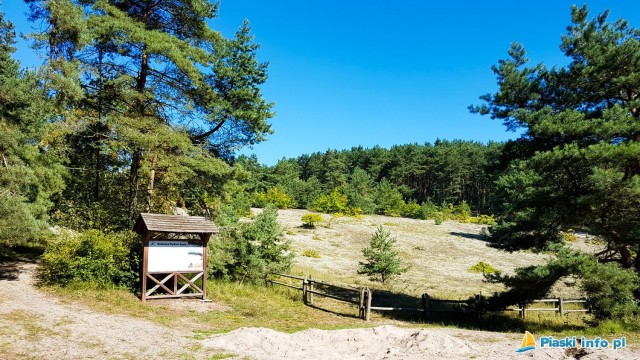 Bezleśna wydma szara