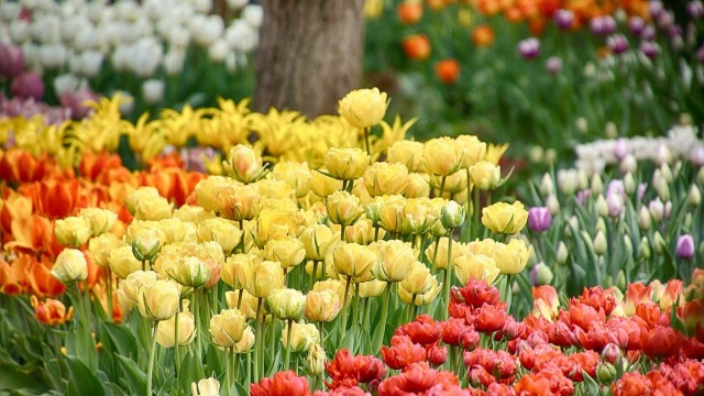 Ogrody Tematyczne Hortulus