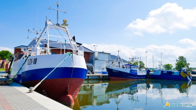 Port rybacki w Dziwnowie