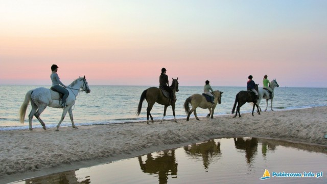 Jazda konna nad morzem