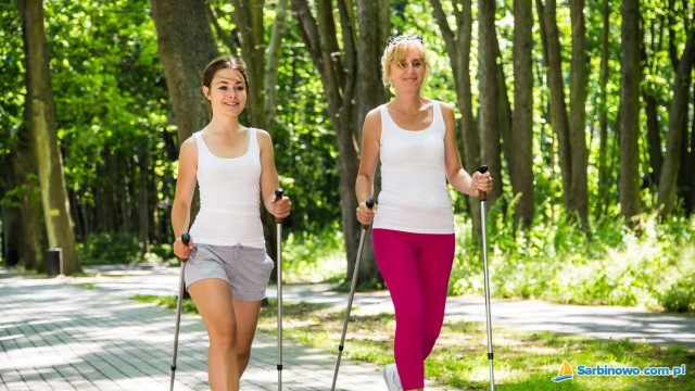 Szlaki rowerowe i turystyczne