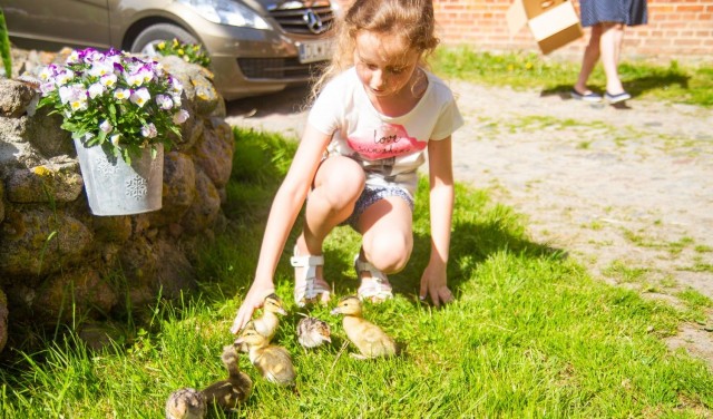 NADMORSKIE AGRO Rusinowo