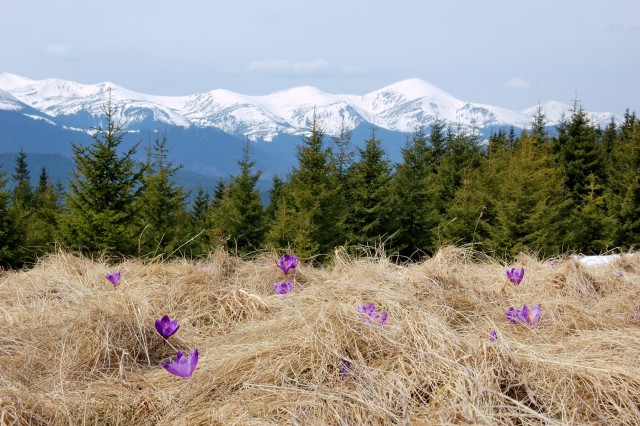 Wiosna w Tatrach – 5 tras trekkingowych idealnych na pierwszy górski wypad po zimie