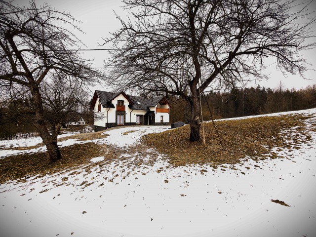 Olszynowa Górka Agroturystyka