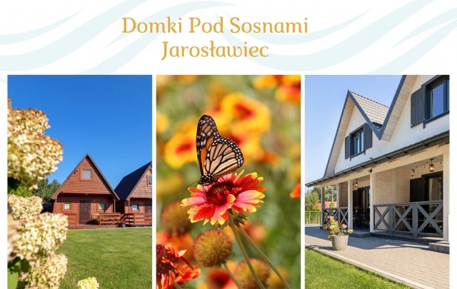 Domki POD SOSNAMI
