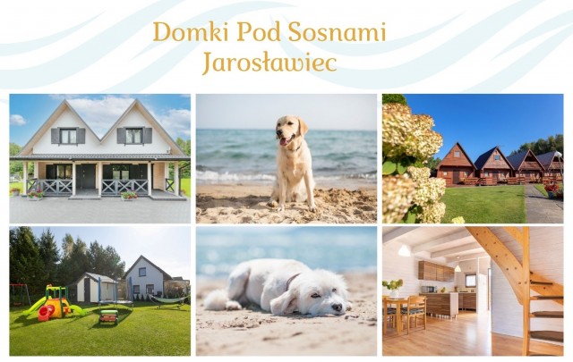 Domki POD SOSNAMI