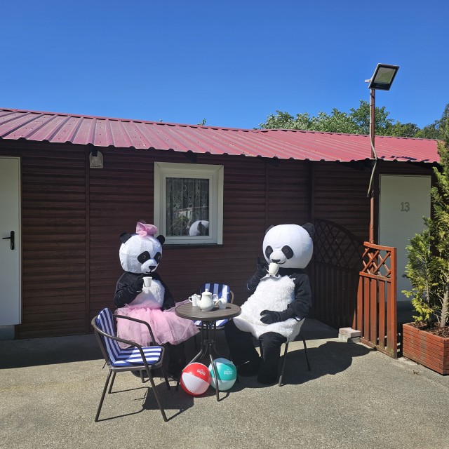 Domki i Kemping Bartek