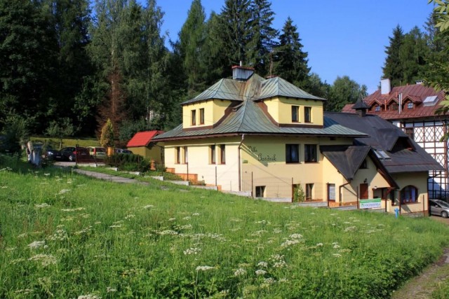 Villa GOŹDZIK