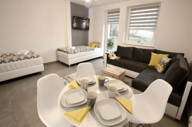 Apartament WISŁA KAMIENNA
