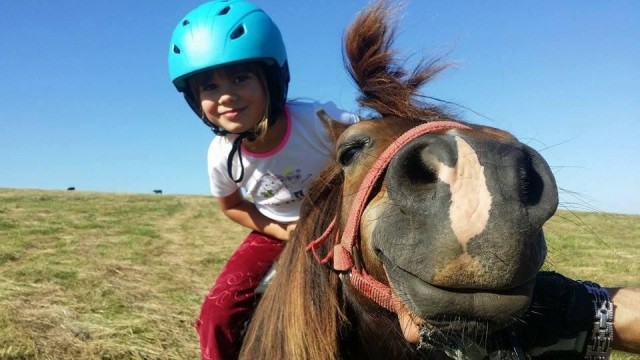 Agroturystyka GOLIAT