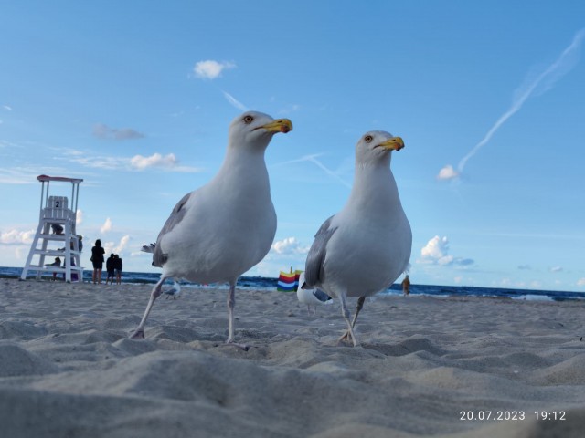 Ośrodek Wczasowy Temida