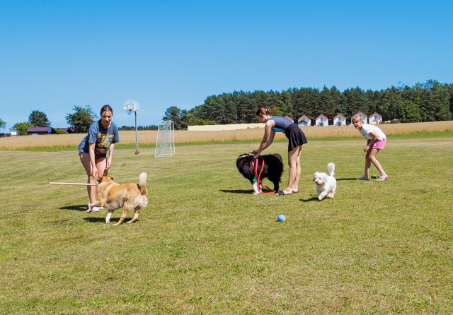 Jastrzębi Las - Ośrodek Wypoczynkowy