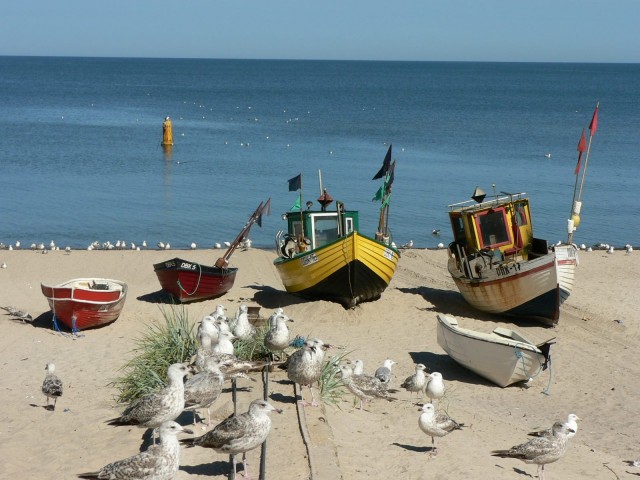 LAGUNA - Domki, Pokoje i Apartamenty