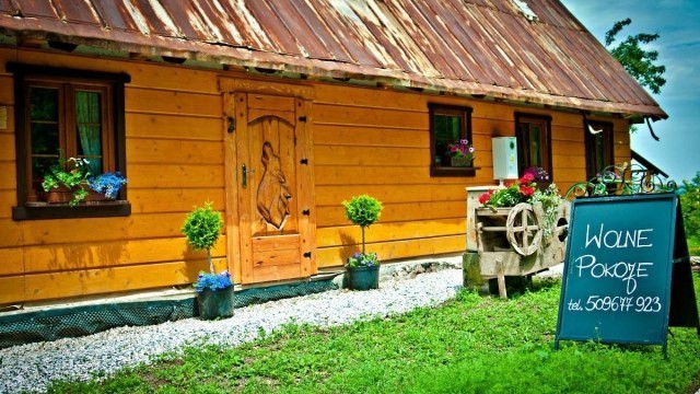 WILCZA GAJÓWKA
