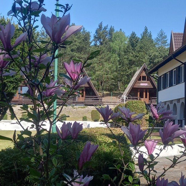 Domki Letniskowe i Pokoje Gościnne KORMORAN