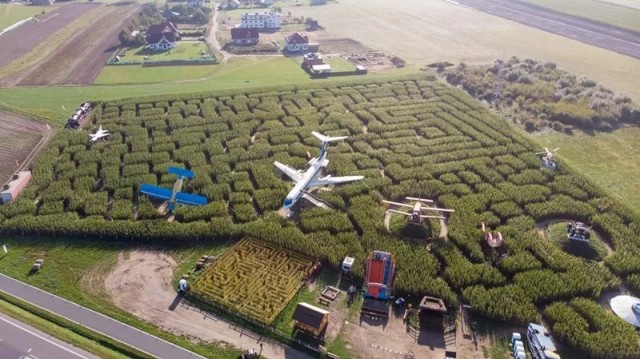 Labirynt w Polu Kukurydzy