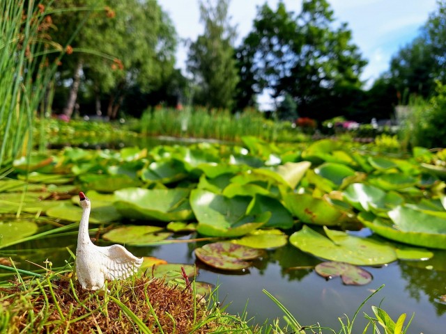 Atrakcja Park Miniatur Zabytków Dolnego Śląska