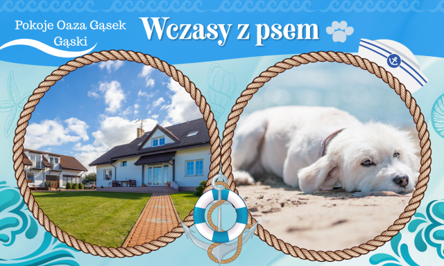Pokoje OAZA GĄSEK