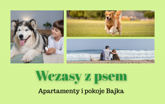 Apartamenty i pokoje BAJKA