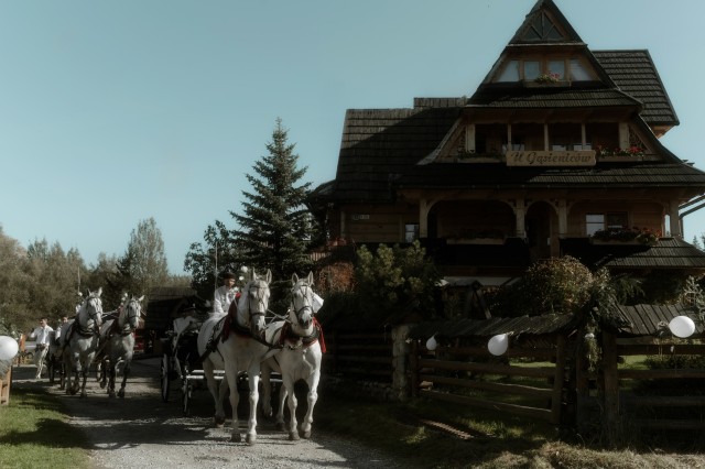 Willa u Gąsieniców