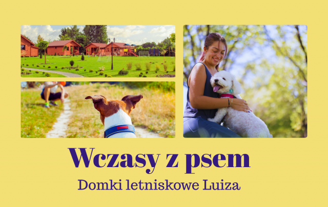 Domki Letniskowe Luiza