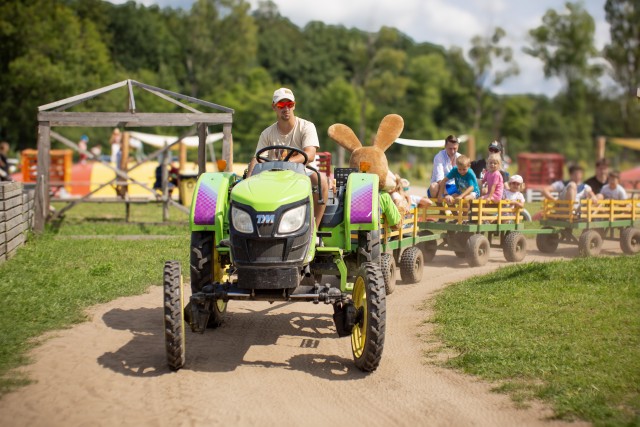 Farma Alexa Atrakcja