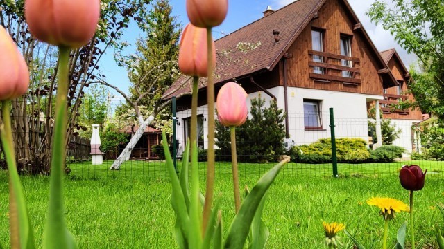 Zacisze pod Śmielcem